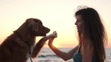 Gün batımında kadın ve Nova Scotia Duck Tolling Retriever köpeği, deniz kenarı neşesi. Bir deniz kabuğuyla kalpten bir takas onların bağlantısını sembolize eder.
