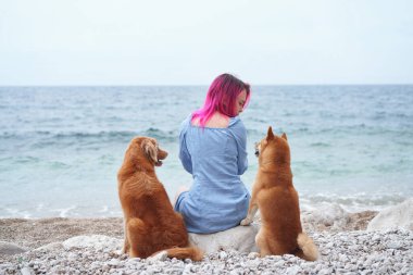 Bir kişi, Nova Scotia Duck Tolling Retriever ve bir Shiba Inu birlikte denize bakan huzurlu bir anın tadını çıkarırlar.