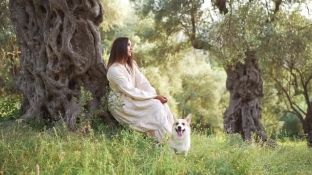 当一个女人和快乐的狗威尔士 彭布罗克在茂密的森林里玩耍时 一个宁静的时刻展开了 — 图库视频影像