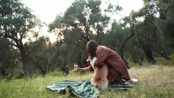 Woman Captures Selfie Moment Her Joyful Dog Amidst Verdant Olive — Stock Video