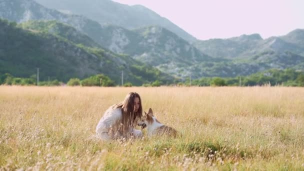 Serene Woman White Engages Her Welsh Corgi Sun Drenched Field — Stock Video