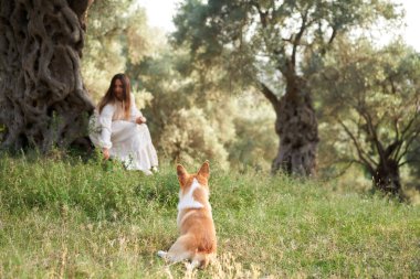 Bir kadın, neşeli bir köpek olan Galli Corgi Pembroke ile oynamanın keyfini çıkarırken huzurlu bir an başlıyor.