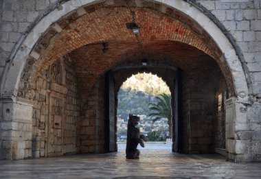 Siyah bir Schnauzer, tarihi bir ortamda bir nöbetçi olarak, kemerli taştan bir kemerin girişinde nöbet tutuyor. Kemer, Schnauzer 'in odak noktası olduğu pitoresk bir görünüm çizer.
