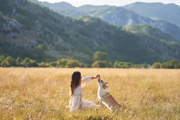 Neşeli bir kadın, köpeği Galli Corgi Pembroke 'u tutarak, görkemli dağlarıyla dışarıda dönüyor. 