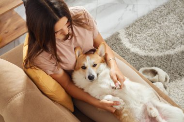 Samimi sahne, bir evcil hayvan sahibinin tüylü Pembroke Welsh Corgi 'siyle sıcak bir iç mekanda bağ kurmasının rahatlığını yakalıyor.