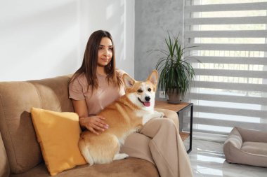 Samimi sahne, bir evcil hayvan sahibinin tüylü Pembroke Welsh Corgi 'siyle sıcak bir iç mekanda bağ kurmasının rahatlığını yakalıyor.