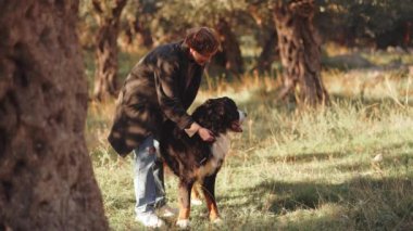 Bir kadın, Bernese Dağ Köpeği ile birlikte güneşli bir parkta yürüyor, sessiz bir ortamın tadını çıkarıyor..