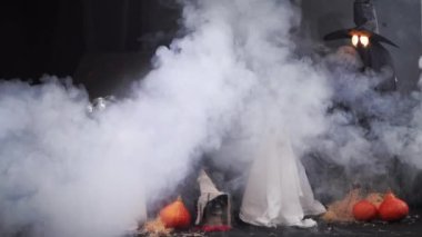 Hayaletler gibi giyinmiş Border Collies perili bir ev ve balkabaklarıyla ürkütücü bir cadılar bayramı ortamında ortaya çıkıyor. Sahne hem ürkütücü hem de eğlenceli..