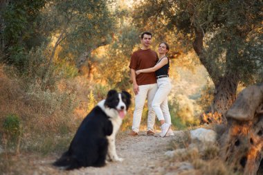 Bir çift ve Border Collie 'leri güneşli bir ormanda birlikte yürüyüp huzurlu bir ortamın tadını çıkarıyorlar..