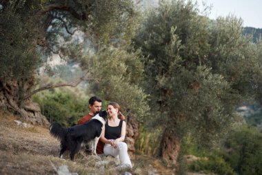 Bir Border Collie, sahipleriyle bir yamaçta oturur ve çevresindeki manzaranın panoramik manzarasını seyreder..