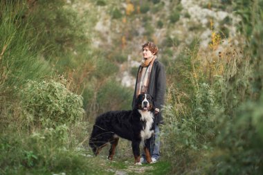 Bir kadın Bernese Dağ Köpeği ile vahşi doğayı keşfediyor. Temiz havanın ve doğanın tadını çıkarıyor..