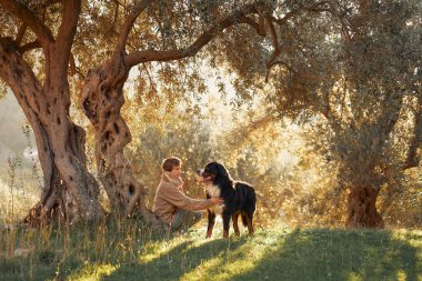 Bir kadın ve Bernese Dağ Köpeği birlikte ormanı keşfediyor, doğal ortamın tadını çıkarıyorlar..