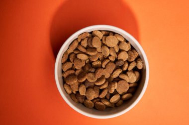 Turuncu arka plana konmuş köpek mamasıyla dolu bir kasenin yukarıdan aşağı görüntüsü. Yakın çekim dokuyu ve renk karşıtlığını vurguluyor.
