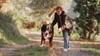 Bir kadın, Bernese Dağ Köpeği ile güneş ışığında bir zeytin koruluğunda el ele yürür, sükunetin tadını çıkarır..