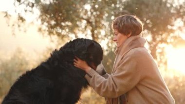 Bir kadın altın saatinde Bernese Dağ Köpeğini huzurlu bir zeytinlikte teselli eder..