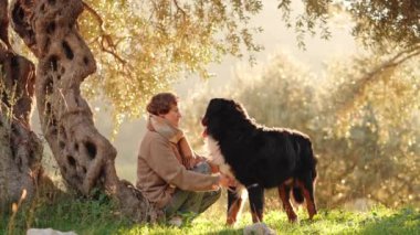 Bir kadın, Bernese Dağ Köpeği ile birlikte güneşli bir zeytin koruluğunda oturur ve huzurlu bir anı paylaşır..