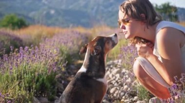Bir insan ve melez bir köpek mor çiçekler ve dağlarla çevrili bir lavanta tarlasında bir anı paylaşırlar. Oyuncu etkileşim, doğanın ve arkadaşlığın neşesini yakalar..