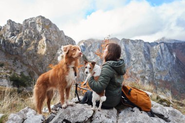 Bir yürüyüşçü, bir Nova Scotia Duck Tolling Retriever ve bir Jack Russell Terrier ile kayalık bir dağın zirvesinde oturur. Sonbahar manzarası grup için barışçıl bir zemin sağlıyor.