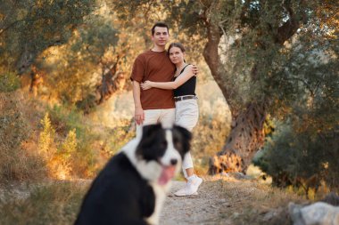Bir Border Collie, güneşli bir orman yolunda yürürken sahiplerine yakın durur..