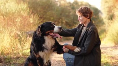 Bir kadın güneşli bir parkta Bernese Dağ Köpeği ile oynuyor, birlikte eğleniyorlar..