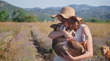 Bir insan lavanta tarlasında dururken küçük melez bir köpeği kollarında tutar. Canlı mor çiçekler ve dağlık arkaplan ılık, huzurlu bir atmosfer yaratır..