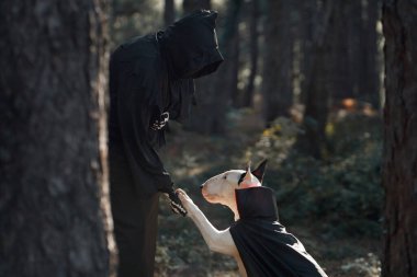 Cadılar Bayramı kostümü giymiş biri ormanda bir boğa teriyeriyle etkileşime girer. Karanlık ortam ve kostümler ürkütücü Cadılar Bayramı atmosferini güçlendiriyor..