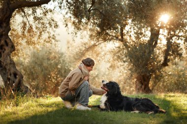Bir kadın Bernese Dağ Köpeği ile birlikte güneşli, sakin bir ormanda huzur içinde oturuyor..