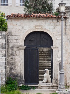 Beyaz bir kaniş, sırtı kameraya dönük, taş bir binanın önünde oturuyor. Sahne, kırsal kesimde köpeğin derin düşüncelere dalmasını vurguluyor..