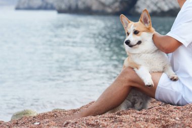 Sahilde oturan biri tarafından bir Corgi tutuluyor, deniz de arka planda. Evcil hayvan ve sahibi arasındaki bağı yakalar..