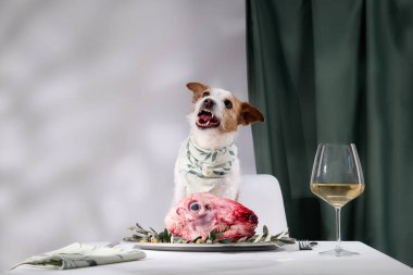 Yeşillik ve bir bardak şarapla süslenmiş çiğ etle yemek masasında oturan bir Jack Russell Terrier. Sahne, zarif bir yemek düzenini ve köpeklerin sakin tavırlarını ön plana çıkarıyor..