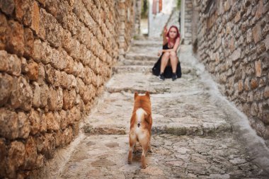 Bir Shiba Inu dokulu taş duvarlarla çevrili dar bir ortaçağ caddesinde yürüyor. Kırsal cazibe ve sakin atmosfer tarihi ortamı vurguluyor..