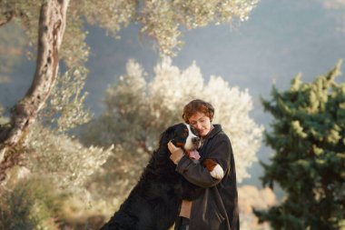 Bir kadın uzun ağaçların arasında Bernese Dağ Köpeği ile sıcak bir kucaklaşmayı paylaşır..