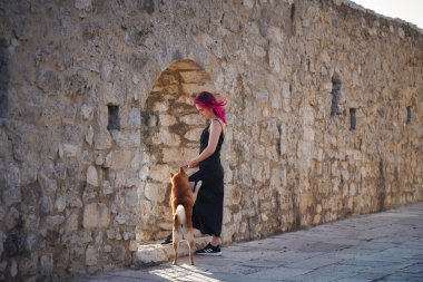 Shiba Inu 'su olan biri, kemerli bir açıklığın yer aldığı ortaçağ taş duvarının yanında duruyor. Dokulu masonluk ve tarihi ambiyans büyüleyici ve sakin bir sahne yaratır..