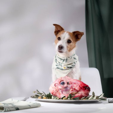 Bir Jack Russell Terrier, bir tabak çiğ et ve bir bardak şarapla süslenmiş bir tabağın arkasında gururla oturuyor. Kapalı alan ve ışıklandırma sakin ama sofistike bir atmosfer yaratıyor..
