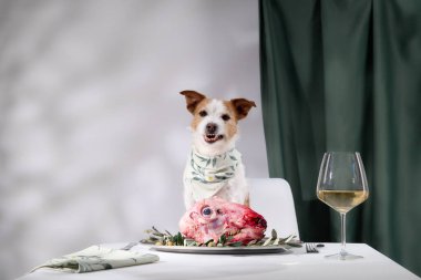 Bir Jack Russell Terrier, bir tabak çiğ et ve bir bardak şarapla yemek masasında oturuyor. Meraklı görünüyor. Sahne, köpeğin meraklı doğasıyla karmaşık bir iç mekan düzenini birleştirir..