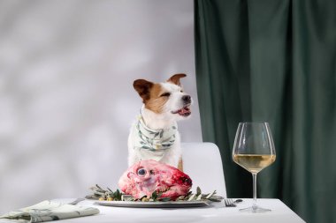 Bir Jack Russell Terrier dikkatle bir bardak şarapla süslenmiş bir tabak çiğ ete bakar. Kapalı yemek düzeni zarif ve şık bir sunumu vurguluyor..