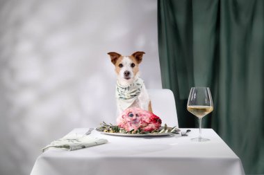 Bir Jack Russell Terrier, bir tabak çiğ et ve bir bardak şarapla masada dikkatle oturur. İçerideki sofistike düzenek, köpeğin bestelediği ve dengeli tavrını vurguluyor..
