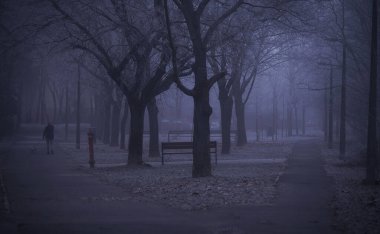 Şafak vakti şehrin buzlu manzarası. Mavi tonlu resim