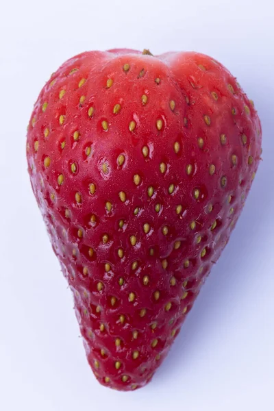 Nahaufnahme Bild Von Frischen Erdbeeren Isoliert Auf Weißem Hintergrund — Stockfoto