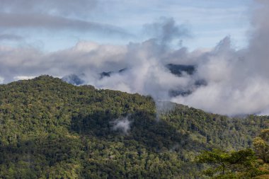 Aerial Drone image of Beautiful deep green rainforest jungle of Sabah, Borneo.