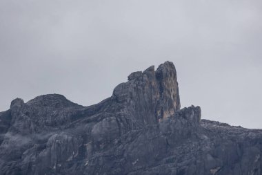 Güzel Kinabalu Dağı, Sabah, Borneo 'nun aşırı yakın plan görüntüsü