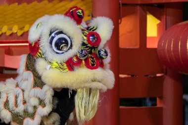 Gece boyunca Kota Kinabalu City, Malezya 'da düzenlenen Çin Yeni Yıl Festivali sırasında aslan dansı gösterisi