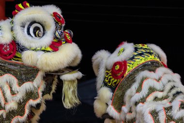 Gece boyunca Kota Kinabalu City, Malezya 'da düzenlenen Çin Yeni Yıl Festivali sırasında aslan dansı gösterisi