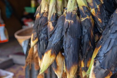 Taze kavrulmuş ya da ızgara corncobs. Izgarada Mısır sokakta Satılık.