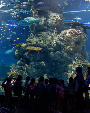 Singapur - 11 Kasım 2022: 