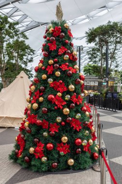 Singapur 'daki Jewel Changi Havalimanı' nda tatil sezonunun sıcaklığını ve cazibesini yansıtan büyüleyici bir Noel süsü.