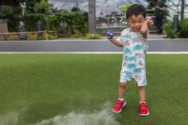 A happy kid embraces the magic of play amidst the enchanting mist at Foggy Bowl, Jewel Changi Airport. clipart