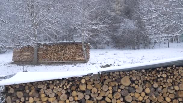 Nieva Época Navidad Nieve Cayendo Bosque Alpino Estación Invierno Paisaje — Vídeo de stock