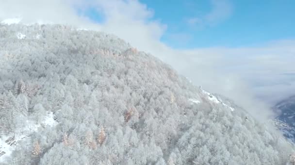 눈덮인 산들을 공중에서 아름다운 크리스마스 시즌에 풍경을 이룬다 이탈리아의 알프스 — 비디오