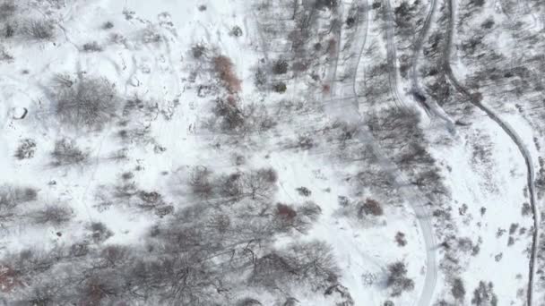 Luchtfoto Van Idyllisch Bergdorp Met Kronkelende Weg Besneeuwd Alpenbos Kersttijd — Stockvideo